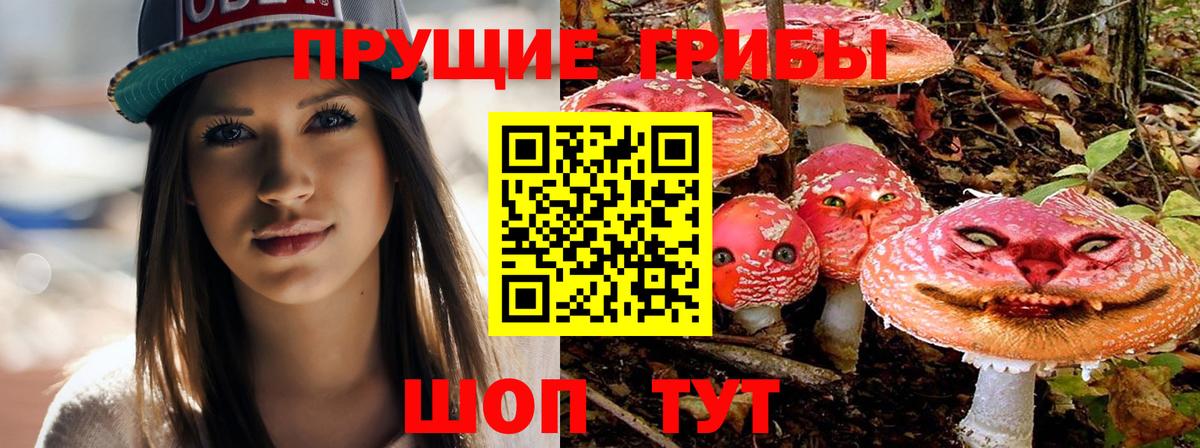 Галлюциногенные грибы Psilocybe Туймазы