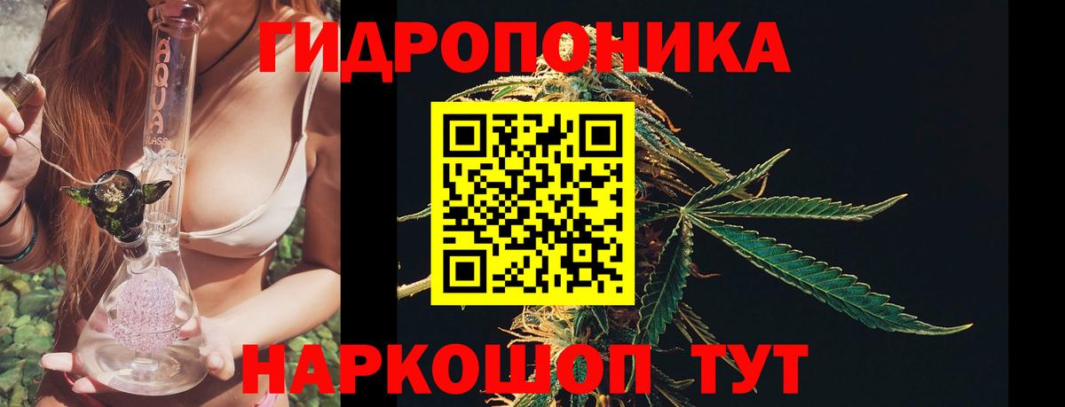 Конопля LSD WEED  Каннабис план  Шишки марихуана тримм  Конопля сатива  Вход с VPN  Туймазы 